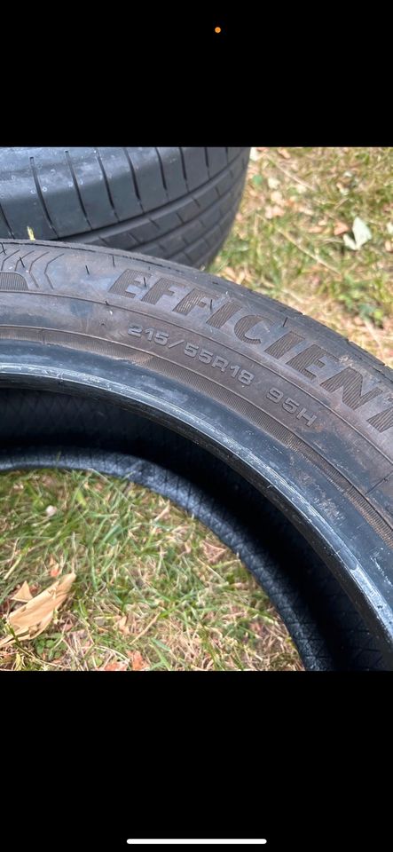 Goodyear EfficientGrip Performance 215/55R18 Sommerreifen in München