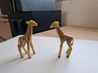 Playmobil  Giraffen  - Tiere - Zoo - Tierpark  - Zubehör  - Hessen - Homberg (Efze) Vorschau