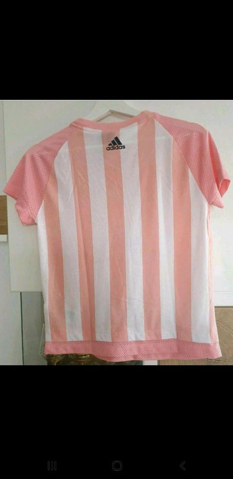 Adidas T shirt 12- 14 Jahre in Kulmbach