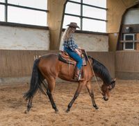 Mobiles Training/Reitunterricht/Reitstunden für Pferd & Reiter Pankow - Weissensee Vorschau