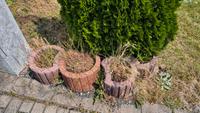 6 Pflanzringe Pflanzsteine Mauersteine Tausche Thüringen - Drei Gleichen Vorschau