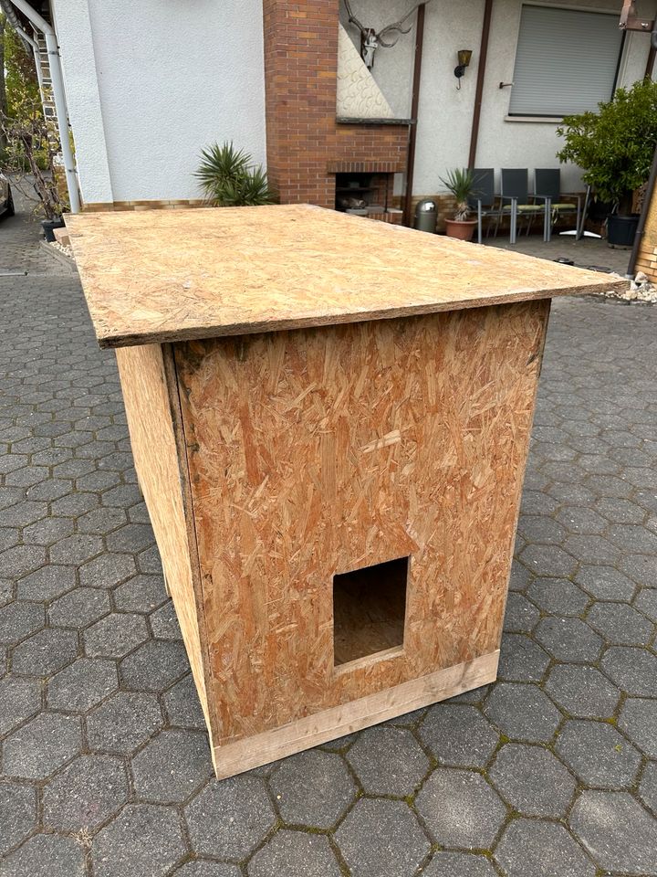 Große, massive Box / Hütte  für Hühner, Gänse, Enten oder Hund in Ehringshausen