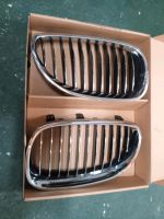 BMW Nieren Grill Brandenburg - Beeskow Vorschau