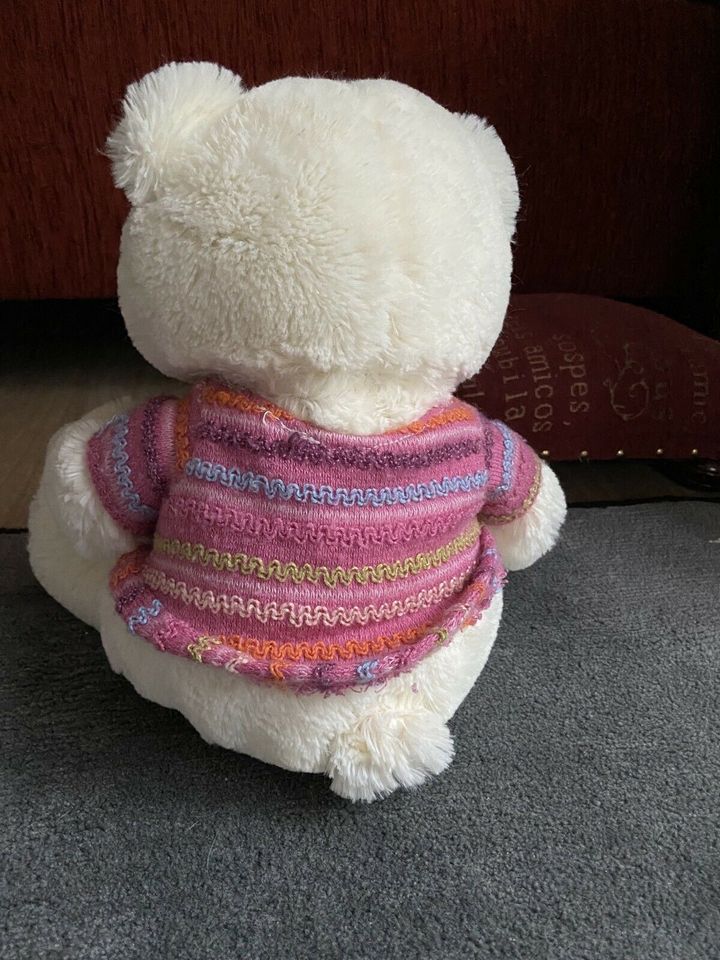 Teddy mit Pulli in Hasloh