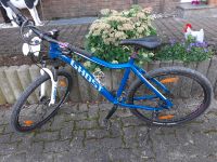 Damen Mountainbike Ghost Nordrhein-Westfalen - Brilon Vorschau