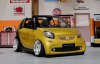 1/18 Smart Fortwo Cabriolet Tuning Umbau Baden-Württemberg - Rheinfelden (Baden) Vorschau