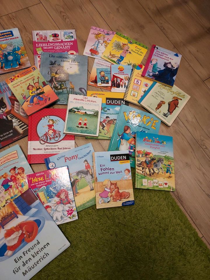 Kinderbücher Sammlung, 44 Stk. in Wetter (Ruhr)