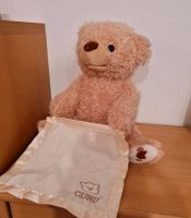 Gund Teddybär mit Sound NEU englisch Bayern - Ernsgaden Vorschau