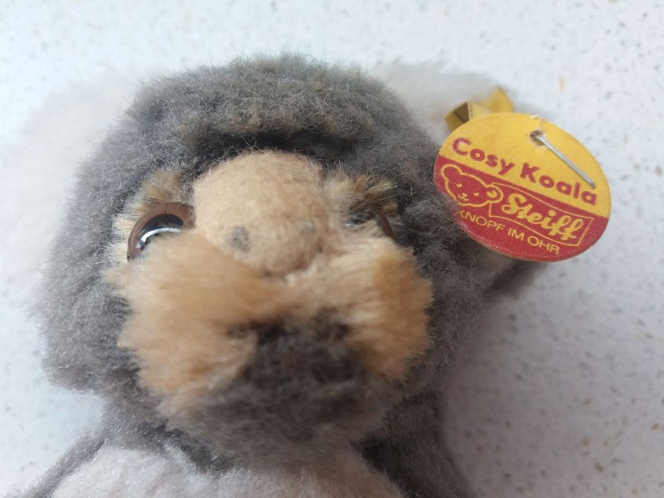 Sammlerstück: Altes Plüschtier von Steiff: Koala Cosy 4770/12 in Essen