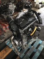 AUY 1.9tdi 115PS Motor VW  Sharan Seat Alhambra Ford Galaxy West - Sindlingen Vorschau