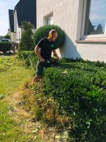 Hecke schneiden kürzen Sträucher Gartenarbeit Nordrhein-Westfalen - Rheda-Wiedenbrück Vorschau