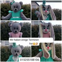 Bär,Hase,Maskottchen,Kindergeburtstag,Party,Auftritt,Überraschung Bielefeld - Bielefeld (Innenstadt) Vorschau