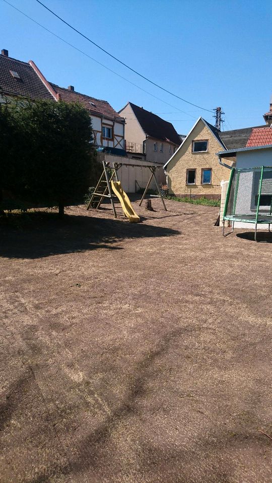 Baggerarbeiten Gartenpflege Hausmeisterservice in Halle