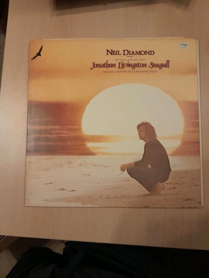 Neil Diamond - Jonathan Livigtin Seagull in Hof (Saale)