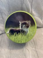 Blechdose Katze Kitten Kätzchen im Gras Print Hamburg-Mitte - Hamburg St. Georg Vorschau