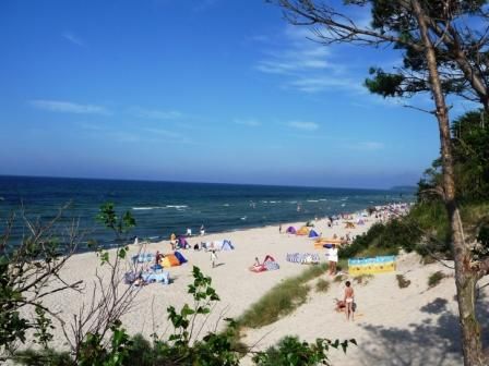 Insel Rügen  - Bungalow am Ostseestrand in Dranske