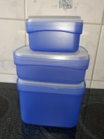 Swing Boxen Set (3) blau Tupperware  neuwertig Nordrhein-Westfalen - Iserlohn Vorschau