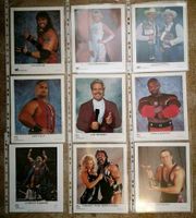 WWF WWE Wrestling Promo Foto Autogramm Sachsen-Anhalt - Halberstadt Vorschau