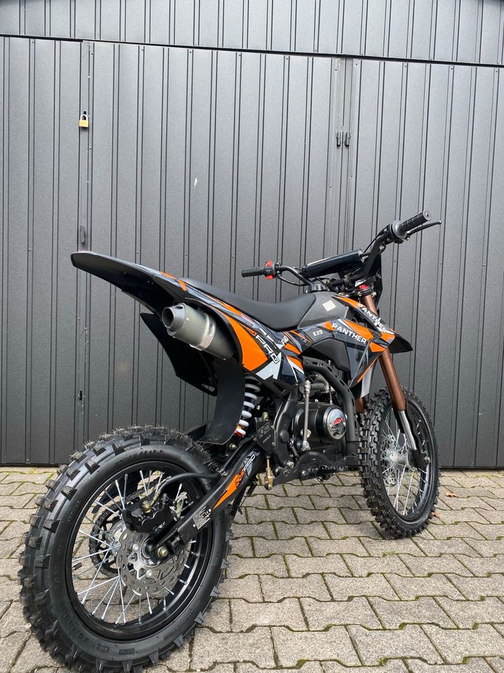 Pit Bike 140ccm KXD NEU Cross 17/14 Zoll Dirtbike Pitbike Panther in Aschaffenburg