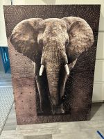 Großes Bild Elefant 65x92,5 cm Berlin - Reinickendorf Vorschau