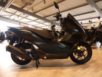 Honda PCX 125 mit ABS incl. Anlieferung Schleswig-Holstein - Kaltenkirchen Vorschau