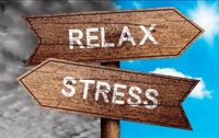 Stressregulation|Entspannungspädagogik|Psych.Beratung|Burnout Prä Parchim - Landkreis - Parchim Vorschau