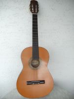 Sorrento Gitarre Model NO Nordrhein-Westfalen - Wiehl Vorschau