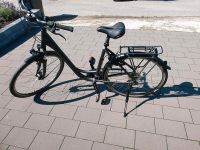 Fahrrad Damen Nordrhein-Westfalen - Stadtlohn Vorschau