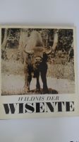 Buch Wildnis der Wisente Thüringen - Rudolstadt Vorschau