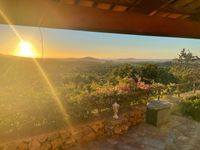 Mallorca im Juni schöne Finca Sant Lorenc,Mallorca für 8 Pers. Essen - Bredeney Vorschau