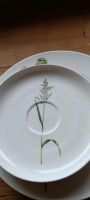 Bone China Porzellan 20-teilig Gräser, Blumen Wandsbek - Gartenstadt Vorschau