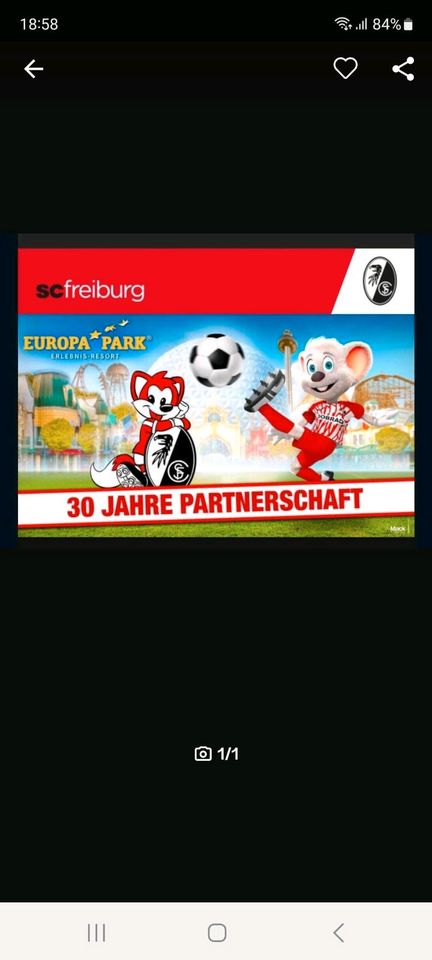 SC Freiburg Fantag, Europapark, 28.06.2024 in Ettenheim