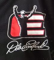 Vintage: Dale Earnhardt Shirt in Gr. M Frankfurt am Main - Bergen-Enkheim Vorschau