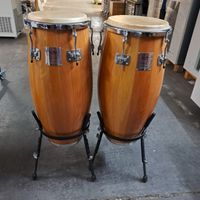 Gon Bobs Kongas / Congas Rheinland-Pfalz - Speyer Vorschau