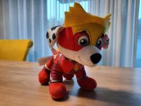 Marshall von Paw Patrol Baden-Württemberg - Bad Krozingen Vorschau