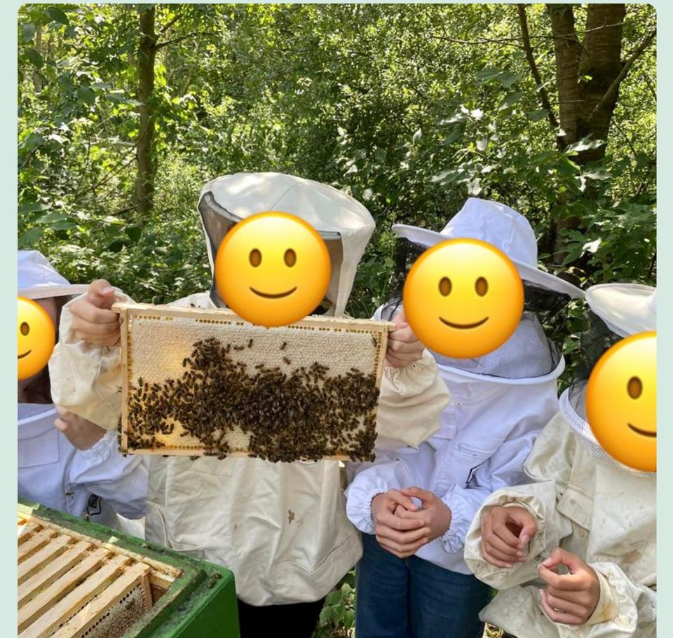 Kindergeburtstag in unserer Imkerei:  Bienen & Honig in Bad Honnef