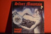 Schallplatten Sammlung (LP) | Silver Mountain - Shakin’Brains Hessen - Bad Wildungen Vorschau