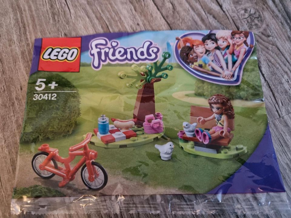 Lego Friends Picknick im Park Mädchen in Bad Honnef