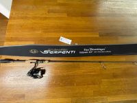 Evergreen TKSS 64 L The Beastinger kaleido serpenti daiwa Japan Hessen - Alheim Vorschau