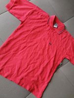 NEU KANZ GR. 140 POLOSHIRT SHIRT T-SHIRT Wuppertal - Ronsdorf Vorschau