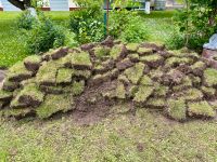 Rasenaushub mit Mutterboden Rheinland-Pfalz - Bad Kreuznach Vorschau