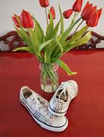Converse Sneaker Gr.40, UK 7 Bayern - Ansbach Vorschau