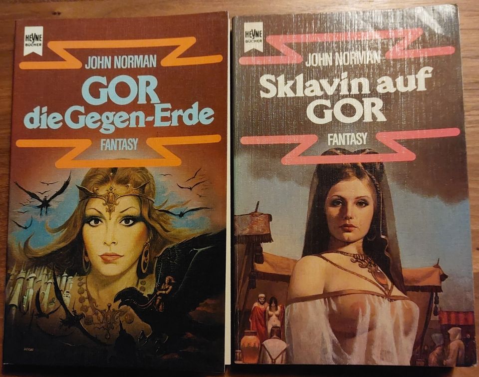 John Norman, Gor Bücher, Heyne SF - je 4 € in Ludwigsburg