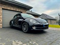 Beetle Cabrio Cup BMT Niedersachsen - Südbrookmerland Vorschau