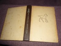 Das Buch vom Pferde von Hans Bauer - DDR 1954 Sachsen - Plauen Vorschau