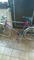 Greif Fahrrad 26 Zoll, neu Bayern - Reckendorf Vorschau