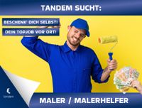 Maler, Malerhelfer (m/w/d) ab 15-20 €/h Niedersachsen - Bad Lauterberg im Harz Vorschau