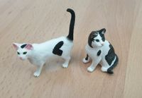 Schleich katzen Baden-Württemberg - Weinheim Vorschau