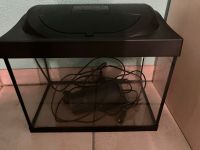 Aquarium 30l mit Licht, Filter und Heizung Nordrhein-Westfalen - Geldern Vorschau