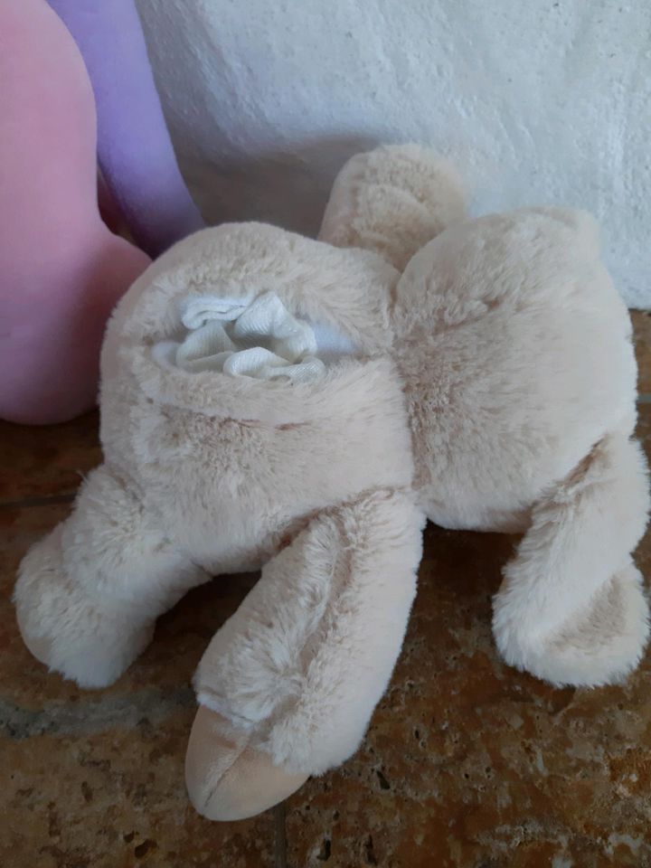 Mädchen Kuscheltiere Set 3€ Einhorn & Teddy mit Geheimfach in Untermerzbach